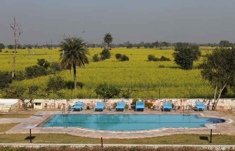 Kadamb Kunj Resort Bharatpur Dış mekan fotoğraf